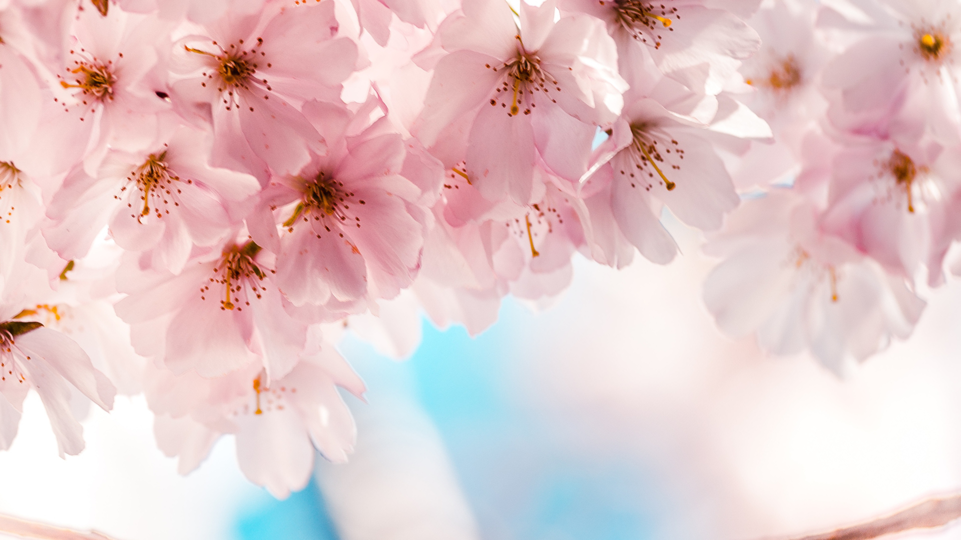 Give Your Clients Happy Skin with Springtime Treatments