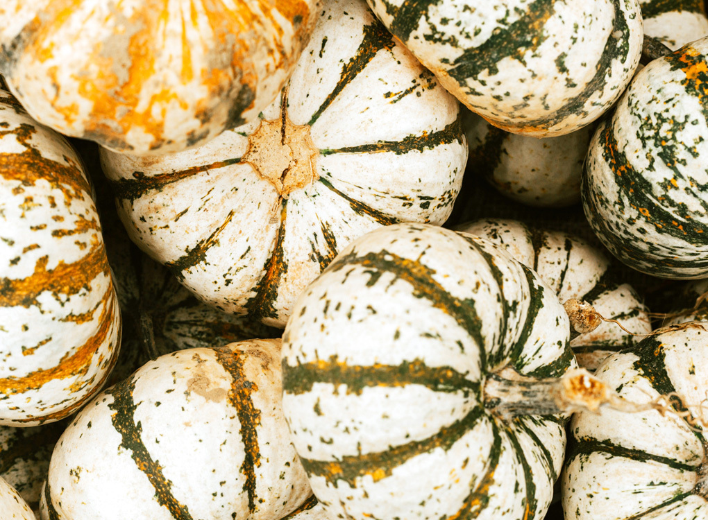 Why Pumpkin (with Twist) Could be the Perfect Fall Remedy